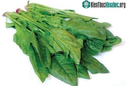 Cải bó xôi là siêu thực phẩm có rất nhiều vitamin K.