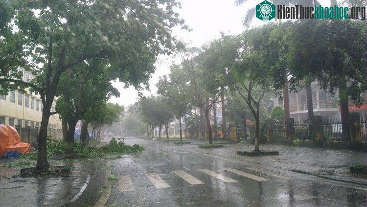 Từ ngày mai (27/6), nền nhiệt giảm khoảng 3 độ C, do trời bắt đầu có mưa, trời dịu mát hơn.