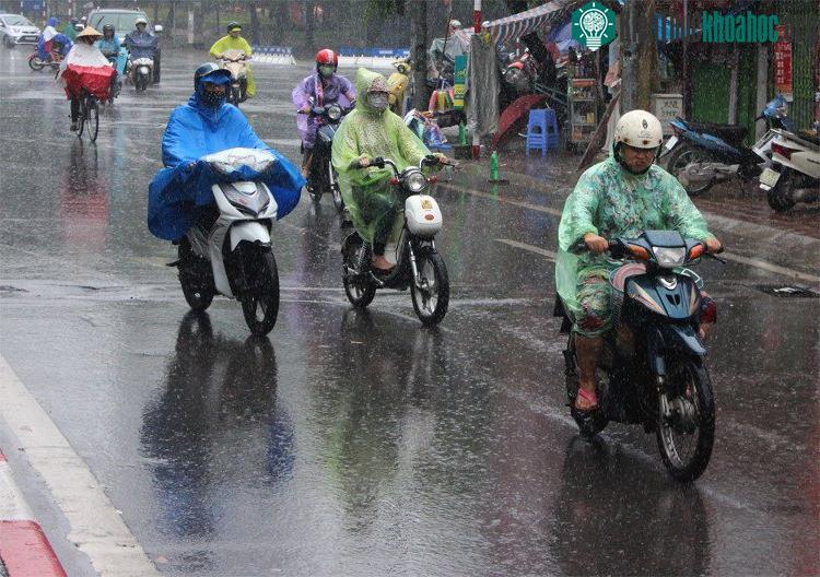 Hà nội có ít hơn, chủ yếu mưa vào đêm và chiều tối, có lúc mưa vừa và dông.