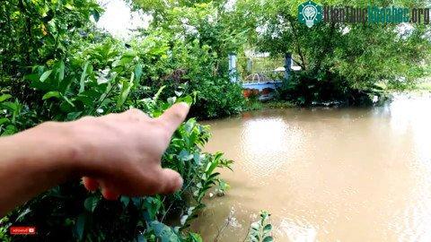 Anh Quy chỉ nơi nơi phát hiện con chim mỏ rắn.