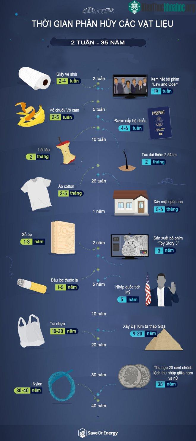 Giấy vệ sinh mất từ 2-4 tuần, túi nhựa từ 10-20 năm mới phân hủy hết được.