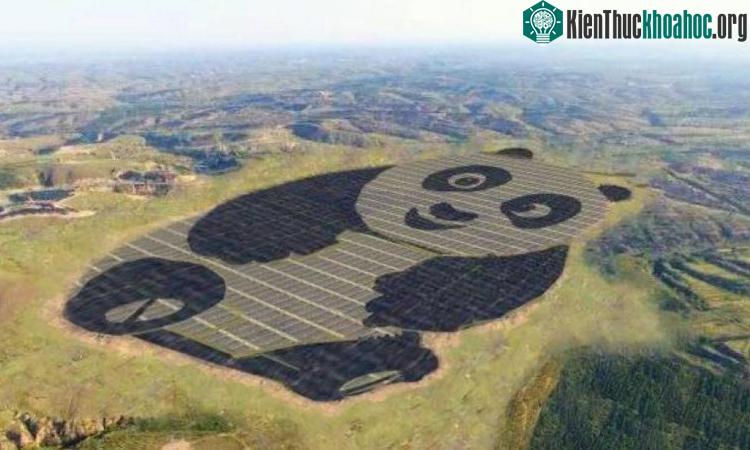 Nhà máy quang điện hình gấu trúc đầu tiên đã hoàn thành - (Ảnh: China Merchants New Energy).