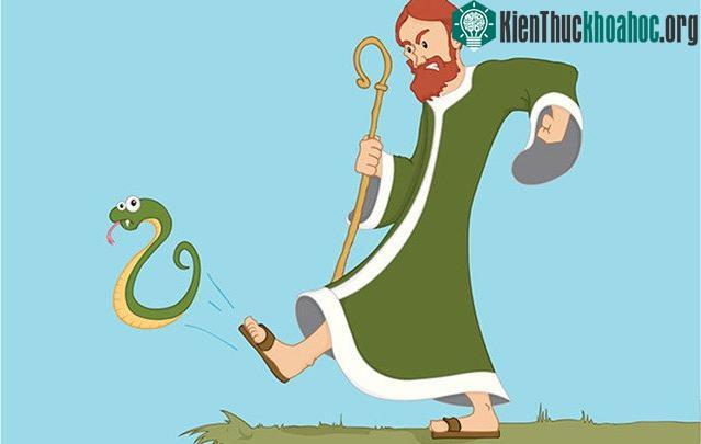 Sợ rắn là một trong những nỗi sợ phổ biến nhất.