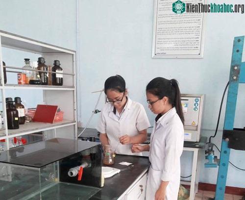 Hai em đang nghiên cứu trong phòng thí nghiệm. (Ảnh: Nhật Tuấn).