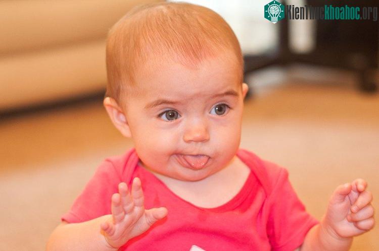 Các nhà khoa học vẫn chưa tiến hành được các cuộc thử nghiệm trên cơ thể người thật.