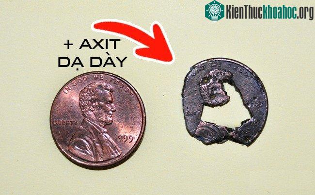 Axit trong dạ dày có thể ăn mòn sắt đến 63%.