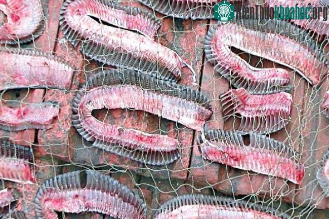 Những mang cá đuối hai mồm được người săn bắt cắt ra.