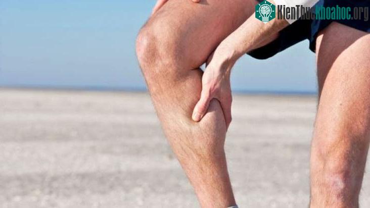 Khi bị chuột rút ở các vùng cơ khác cần tìm cách lên bờ hay ít ra cố lết đến vùng nước nông.