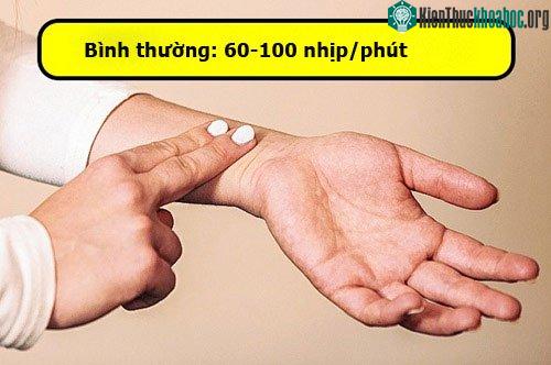 Cách kiểm tra nhịp tim.