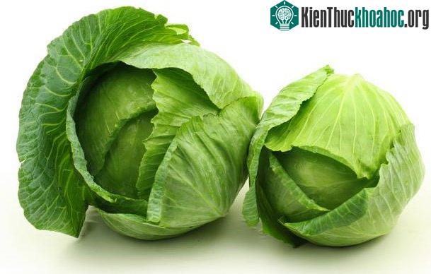 Nửa bát bắp cải có thể cung cấp cho bạn đủ lượng vitamin K trong ngày.