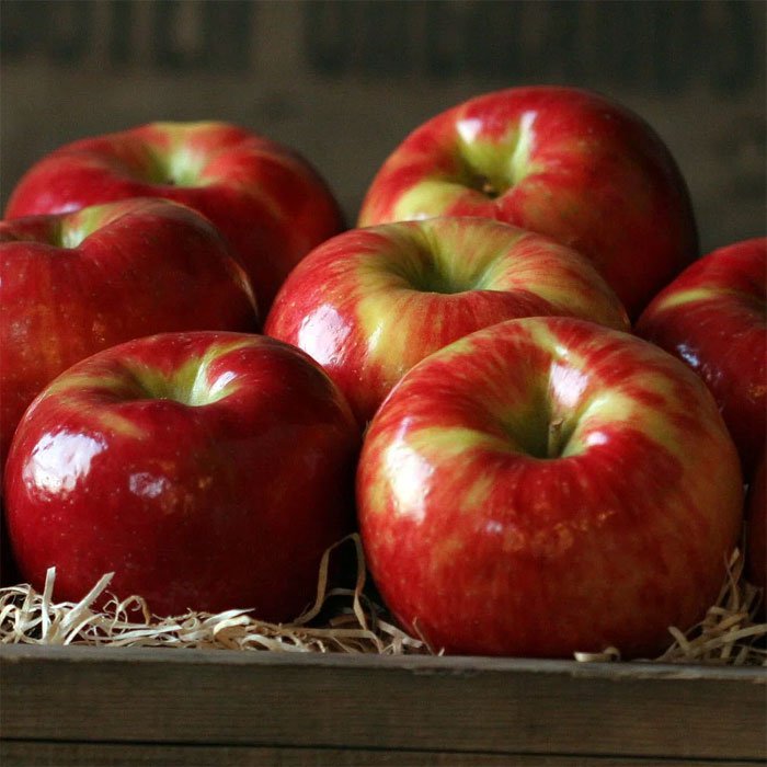 Honeycrisp -Một trong những loại táo ngon nhất trên thế giới 2