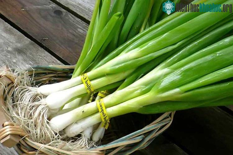 Hành có thể là một gia vị hấp dẫn với nhiều người nhưng không ít người lại "dị ứng" với nó.