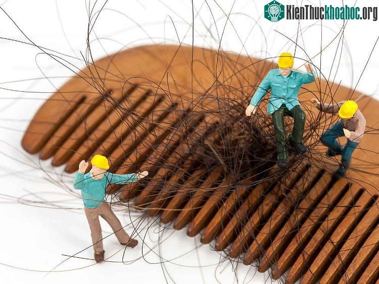 Sử dụng dầu gội khô này càng làm cho tóc dễ gãy rụng.