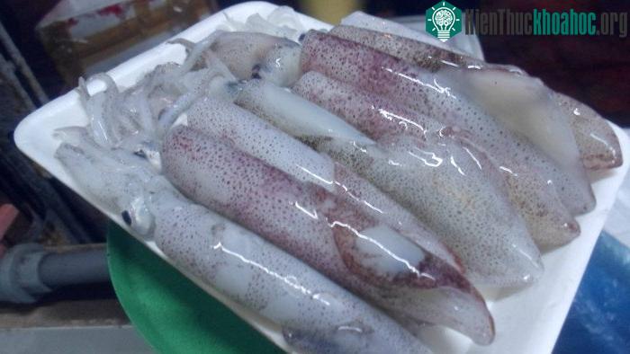 Người mắc chứng tỳ thận dương hư không nên ăn mực. (Ảnh minh họa).