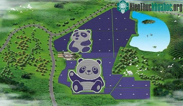 Nhà máy quang điện hình gấu trúc thứ hai được lên kế hoạch xây dựng vào cuối năm nay - (Ảnh: China Merchants New Energy).