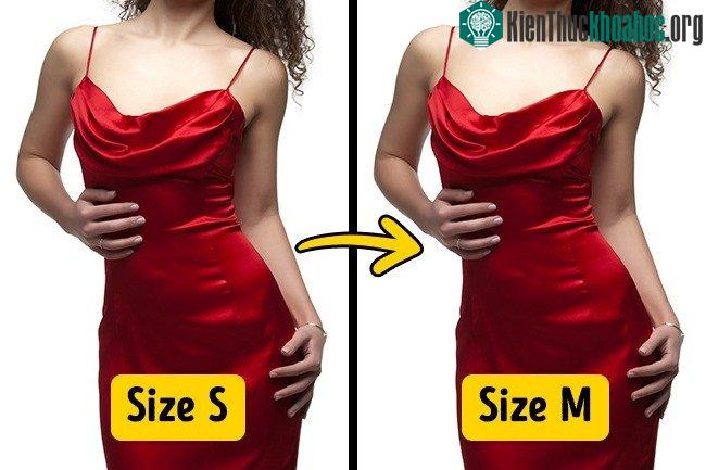 Có thể bạn mặc chuẩn size ở hãng này nhưng chưa chắc lại mặc vừa size đó ở hãng khác.