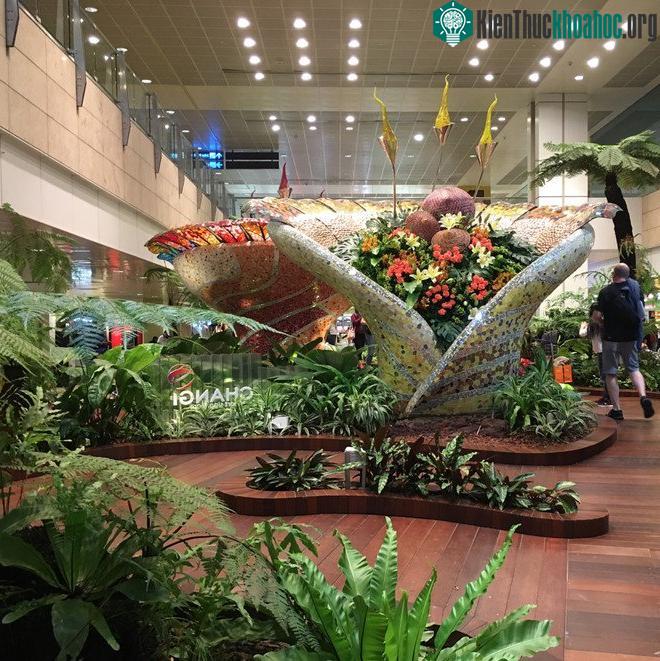 Changi là một trong những sân bay chất lượng hàng đầu thế giới.