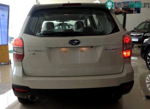 Subaru Forester chỉ một bên đèn sương mù sau có bóng (bên trái), bên còn lại không có.