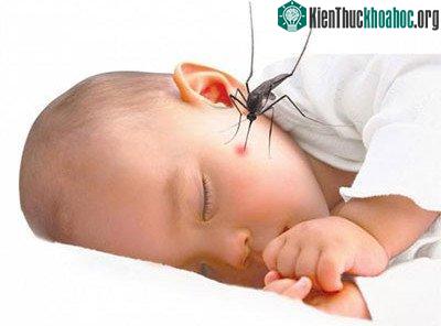 Bệnh sốt xuất huyết là bệnh truyền nhiễm cấp tính.