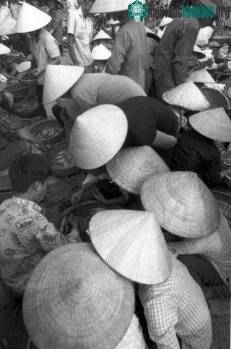 Một góc chợ cá.