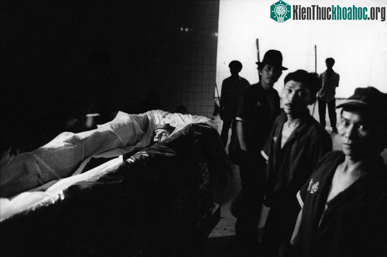 Người đã mất được đưa vào quan tài.