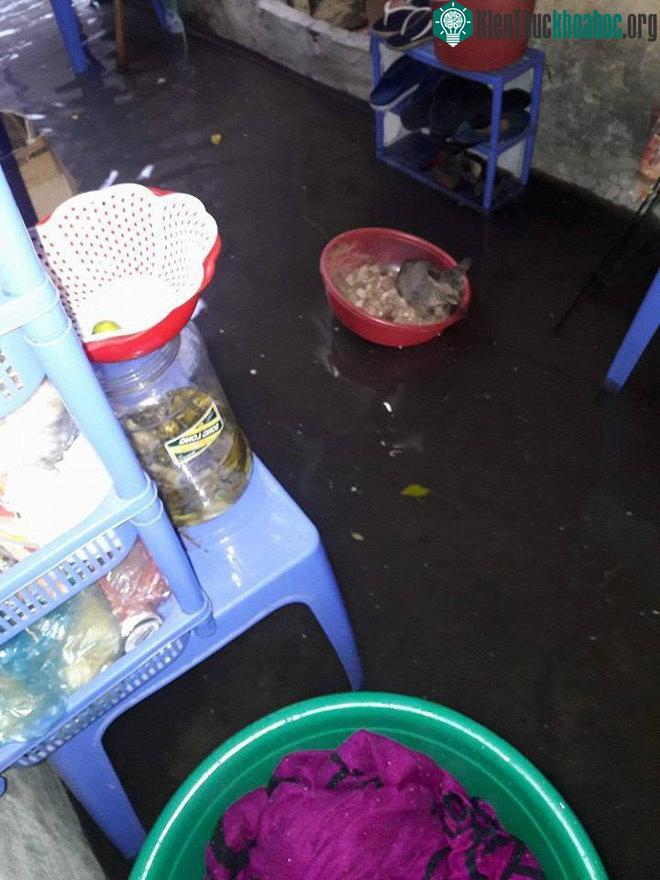 Mưa lớn khiến nước dâng cao, tràn vào nhà dân tại khu vực Mĩ Đình. (Ảnh: Facebook Linh Lan).