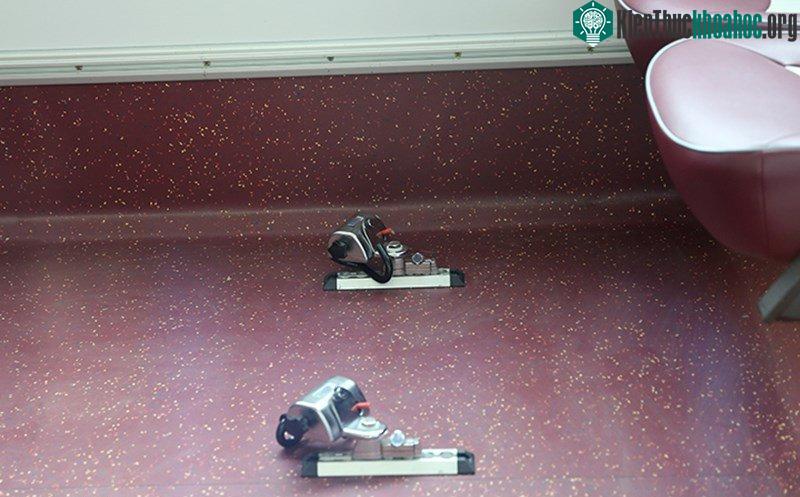Xe có thiết bị phục vụ người khuyết tật.
