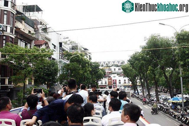 Dây điện, độ cao của các hàng cây... là những vấn đề liên quan đến an toàn của du khách cần được tính toán kỹ.