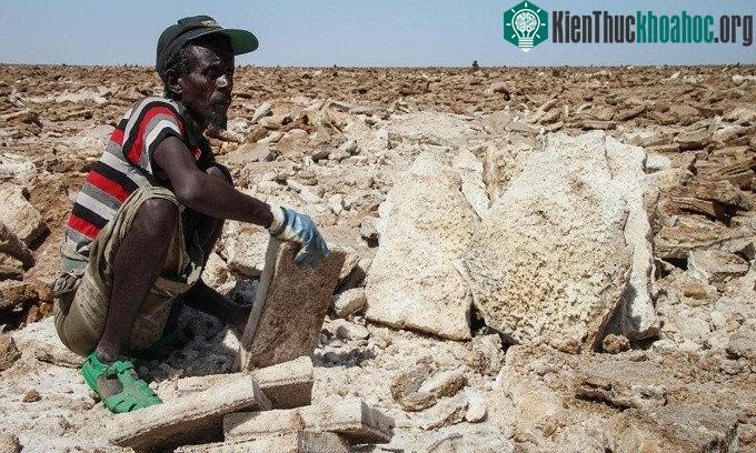 Tại Danakil, người dân kiếm sống bằng nghề khai thác muối để đổi lấy thực phẩm