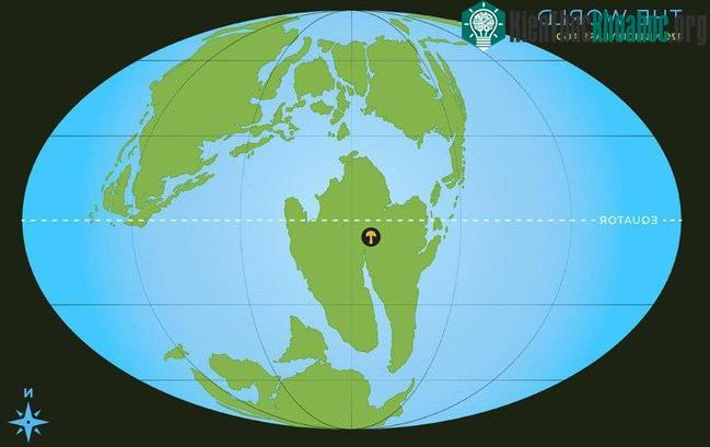 Cây nấm hóa thạch sống vào kỷ Phấn Trắng, khi siêu lục địa Gondwana bị vỡ ra thành nhiều phần.