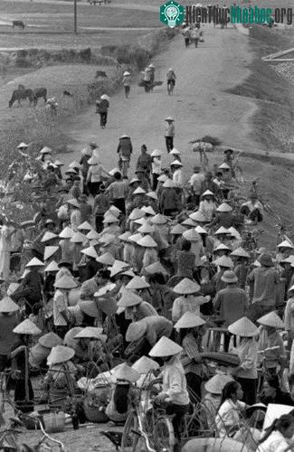 Họp chợ trên đường làng
