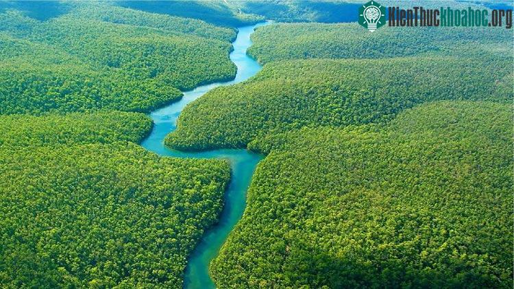 Sông dài nhất là chưa chuẩn đâu. Sông rộng nhất mới là chuẩn không cần chỉnh.
