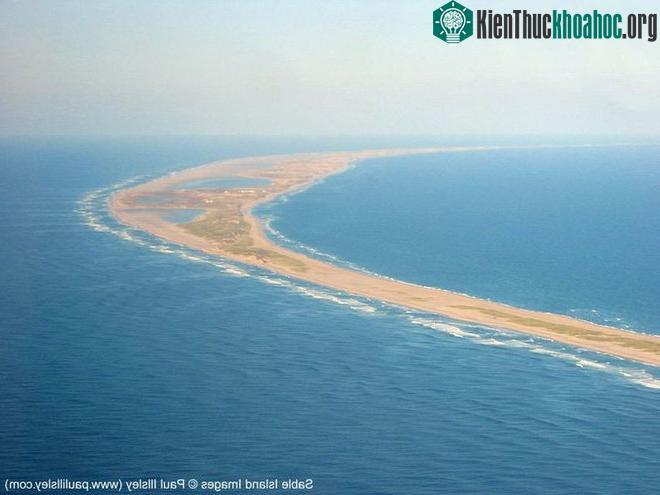Chiếc bẫy biến đảo Sable trở thành "nghĩa địa của Đại Tây Dương"