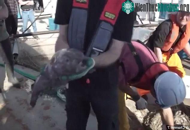 Sau 1 tháng thám hiểm, các nhà khoa học đã thu được kết quả đáng ngạc nhiên.