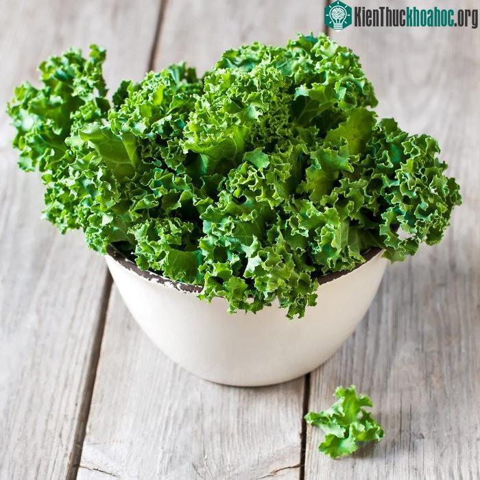 Nguồn thực phẩm chứa vitamin K cũng khá dồi dào.