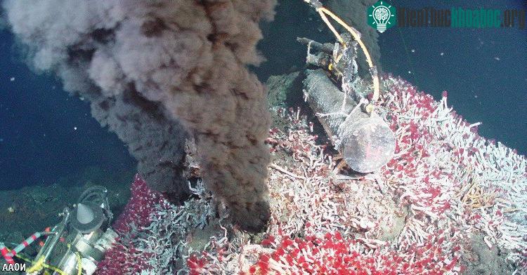Một vết nứt trên lớp vỏ Trái Đất nằm sâu dưới đáy đại dương. (Ảnh: NOAA).
