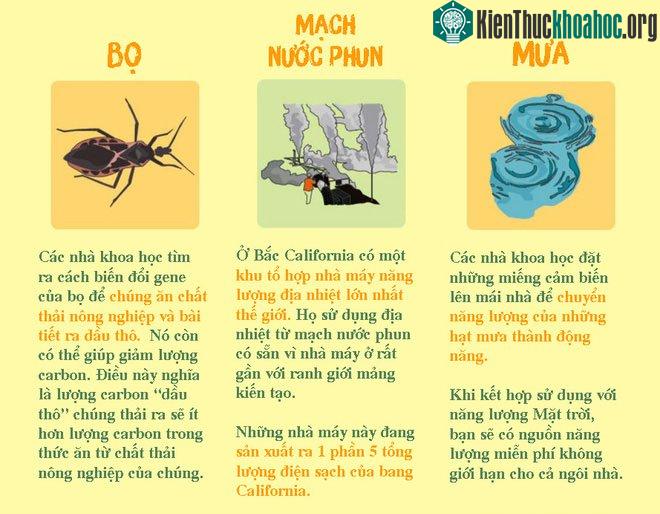 Các nhà khoa học đang tìm cách biến đổi gene của bọ để chúng ăn chất thải và bài tiết ra dầu thô.