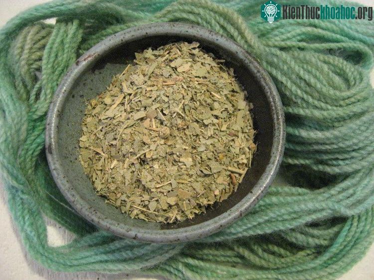 Loại vải sợi mới làm từ cây bạch đàn khá bền chắc. (Ảnh: Wool and the Gang).