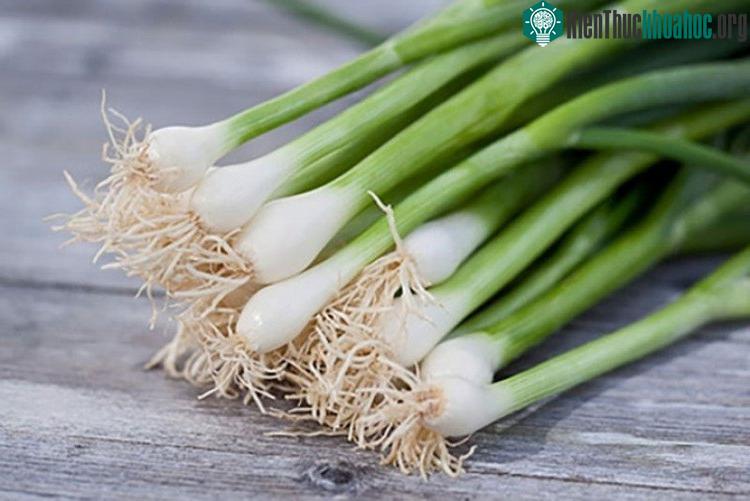 Hành lá chứa nhiều chất xơ, vitamin A, C, hay allyl sulfide.