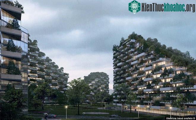 Các tòa nhà đều ngập tràn trong màu xanh mát mắt của cây cối.