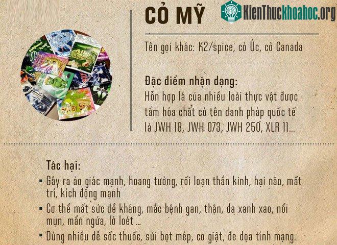 Cỏ Mỹ là hỗn hợp lá của nhiều loại thực vật gây nghiện.