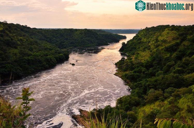 Sông Nile biểu tượng của Ai Cập.