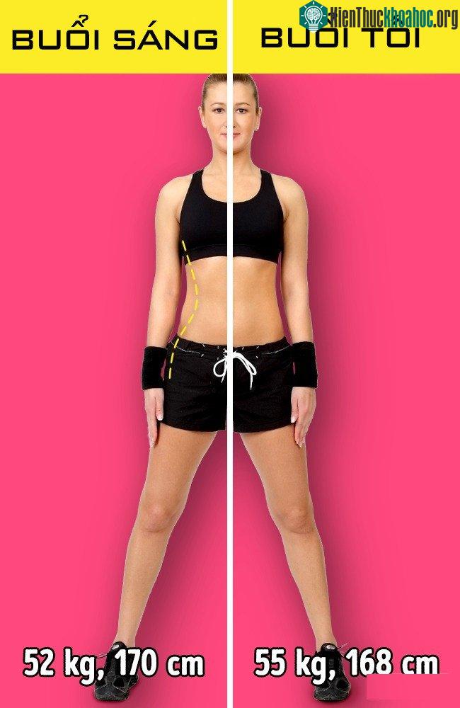 Lúc mới ngủ dậy, chúng ta thường cao hơn lúc chưa đi ngủ khoảng 1-2cm.