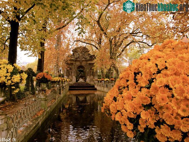 Tượng Galatea-Acis ở đài phun nước La fontaine Médicis tại vườn hoa Luxemburg, Paris. Đằng sau bức tượng trắng của đôi tình nhân là tượng đen của Polyphemus, còn dòng suối phía trước tượng trưng ch...
