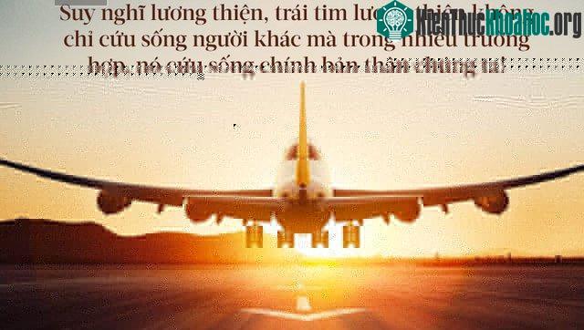 Chuyến bay đó đã vô cùng may mắn khi quyết định giữ lại cơ trưởng.