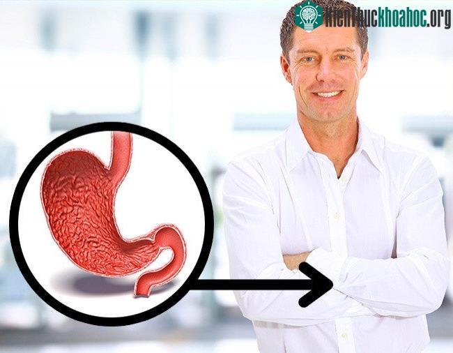 Trái tim và dạ dày có mối liên hệ khá khăng khít.