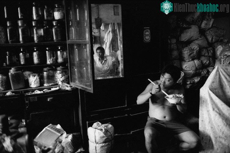 Bên trong một nhà thuốc Đông Y của một gia đình người Hoa ở Chợ Lớn.