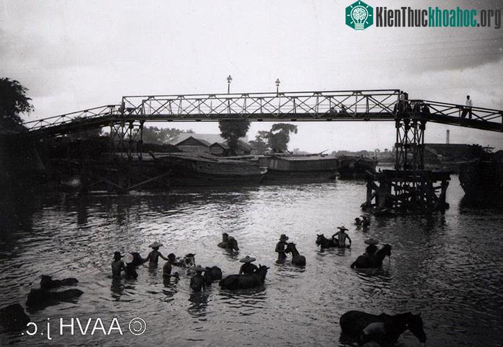 Tắm ngựa trên kinh Tàu Hủ cạnh cầu Xóm Chỉ, 1904.