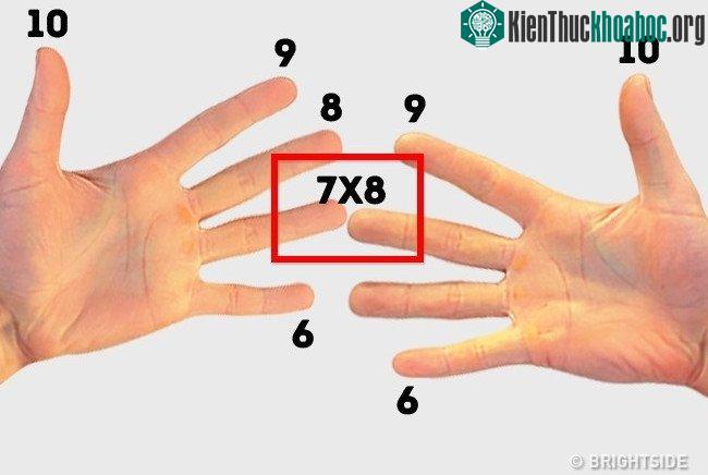 Ví dụ về phép nhân 7x8.