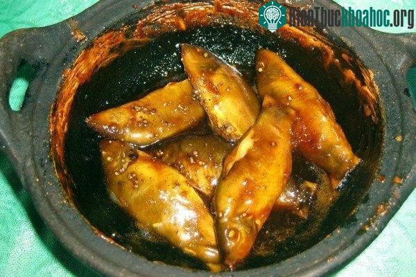 Cá heo nước ngọt thường trú ẩn trong các hốc đá, trụ cầu và kiếm ăn vào ban đêm.